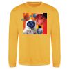 AWDis sweatshirt Thumbnail